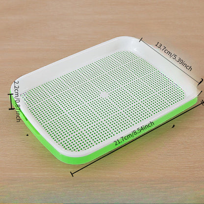 Automatic Wheatgrass Growing Tray | Self-Watering Hydroponic Sprout Planter for Home